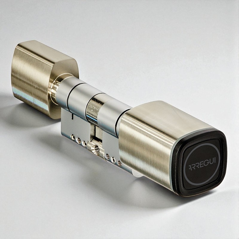 cilindro electronico seguridad